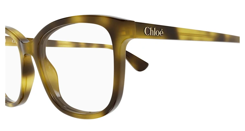 Chloé CH0393O 002 54