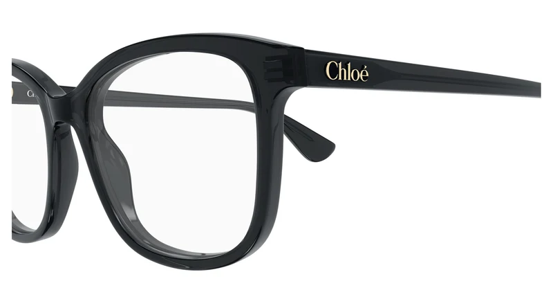 Chloé CH0393O 001 54