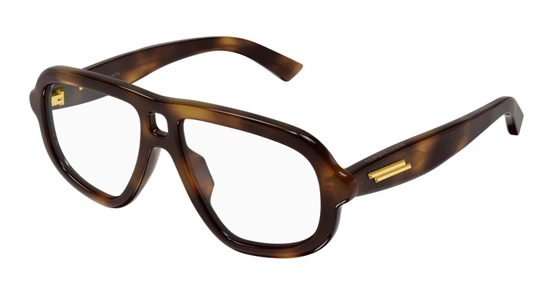 Bottega Veneta BV1495O 005 55