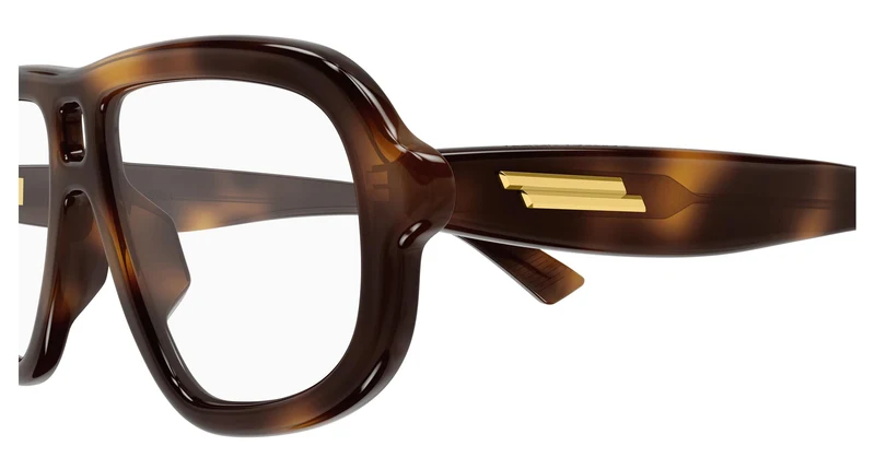 Bottega Veneta BV1495O 002 53