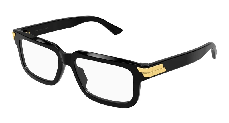 Bottega Veneta BV1490O 012 55