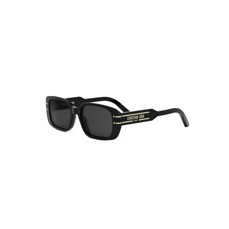 DIOR DIORSIGNATURE S12I CD40176I 10A0 01A 53