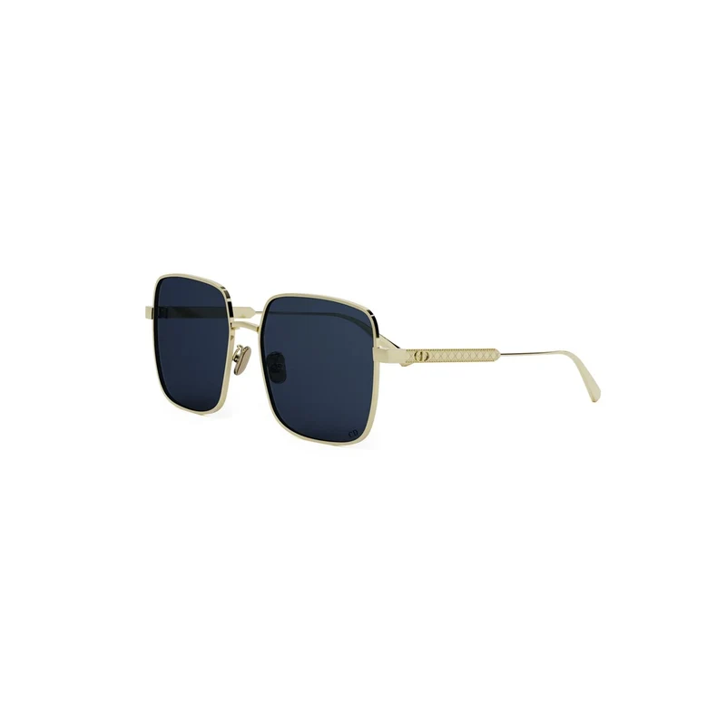 DIOR DIORCANNAGE S1U CD40172U B0B0 10V 59
