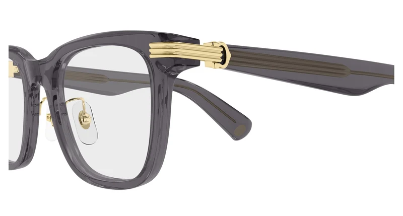 Cartier CT0617OA 003 54