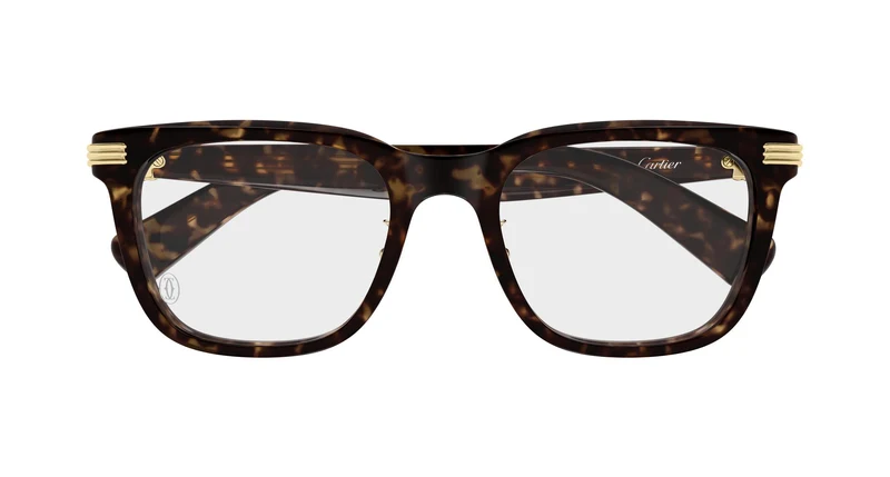 Cartier CT0617OA 002 54