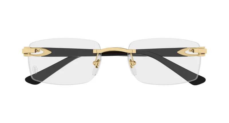 Cartier CT0607OJ 001 53