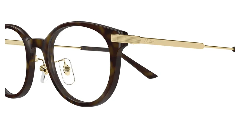 Cartier CT0531OJ 002 49