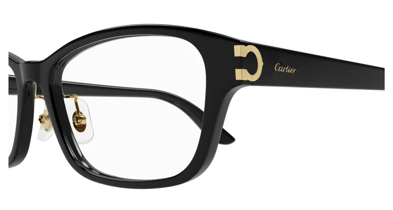 Cartier CT0457OJ 001 55