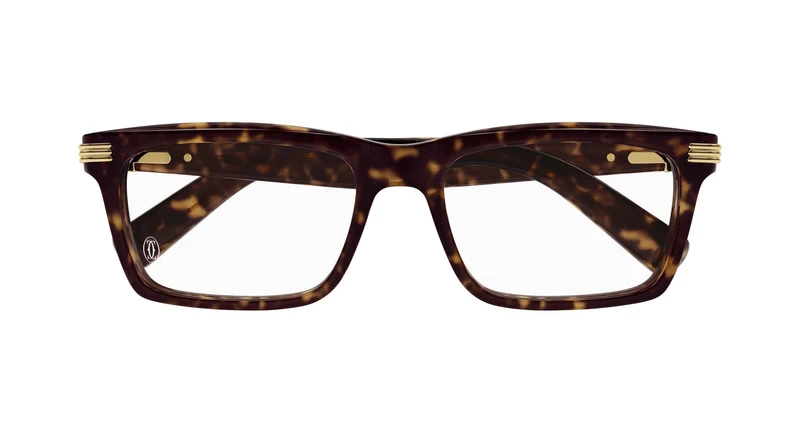 Cartier CT0420OA 002 56