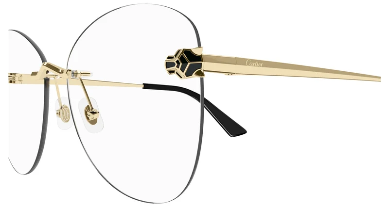 Cartier CT0418O 001 58