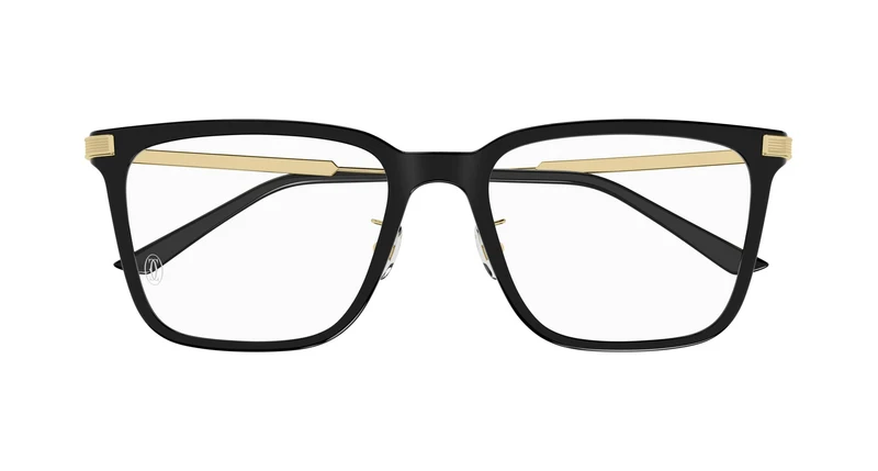 Cartier CT0384O 003 54