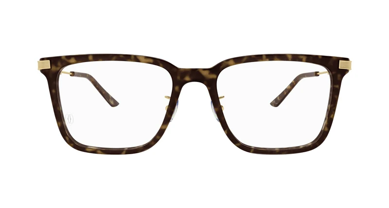 Cartier CT0384O 002 54