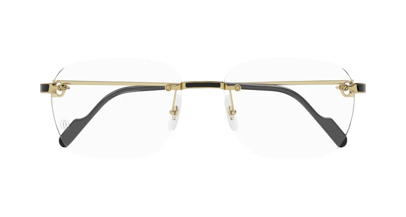 Cartier CT0343O 001 58