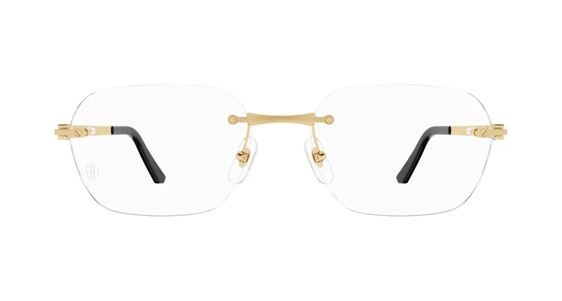 Cartier CT0407O 001 57