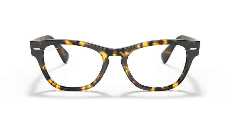 Ray-Ban RX2201V LARAMIE 8116 51