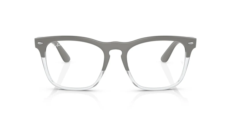 Ray-Ban RX4487V STEVE 8197 51