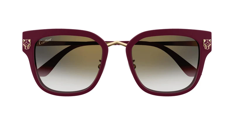 Cartier CT0509SA 003 55