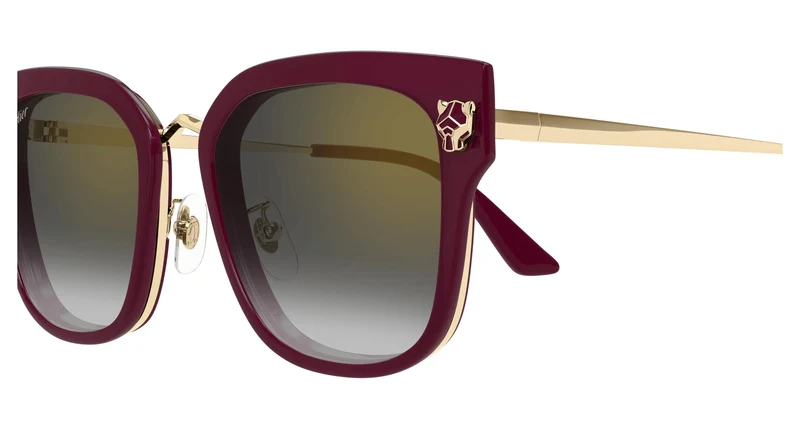 Cartier CT0509SA 003 55