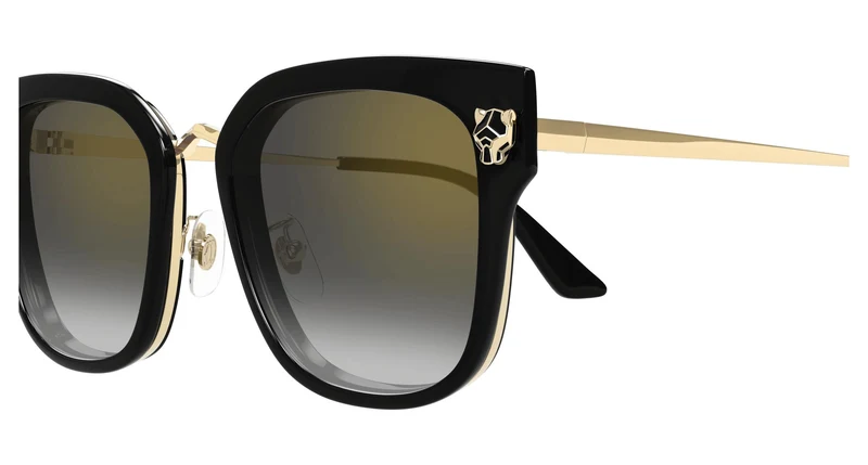 Cartier CT0509SA 001 55
