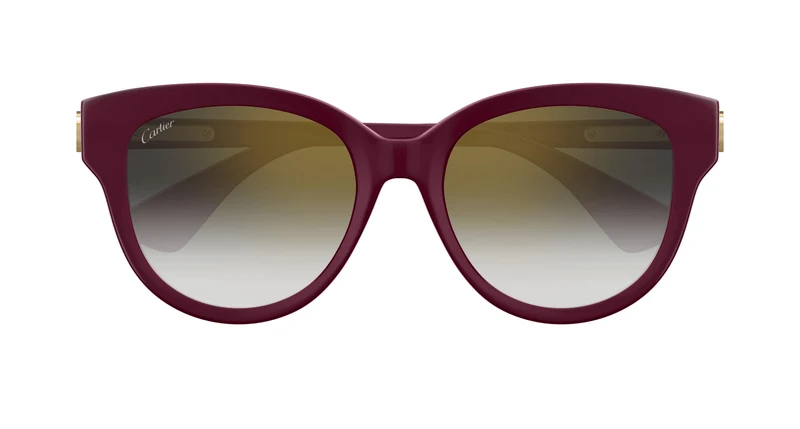 Cartier CT0506SA 003 55