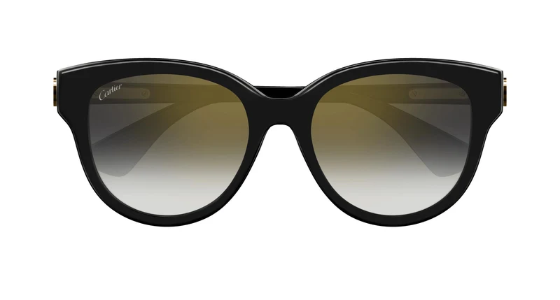 Cartier CT0506SA 001 55