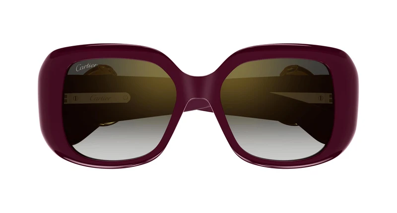 Cartier CT0471SA 004 54