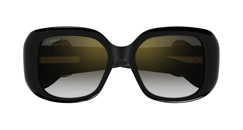 Cartier CT0471SA 001 54