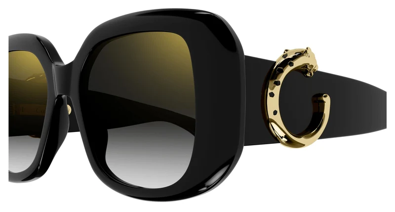 Cartier CT0471SA 001 54