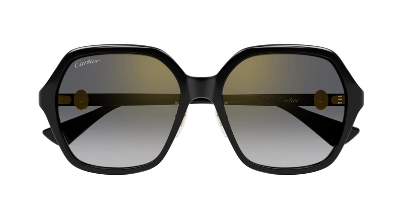 Cartier CT0470SA 001 58
