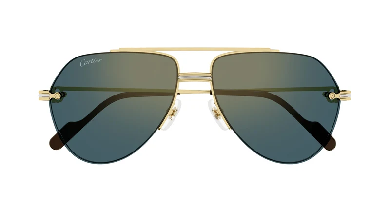 Cartier CT0427S 002 58
