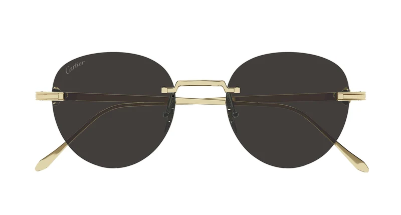 Cartier CT0331S 002 51
