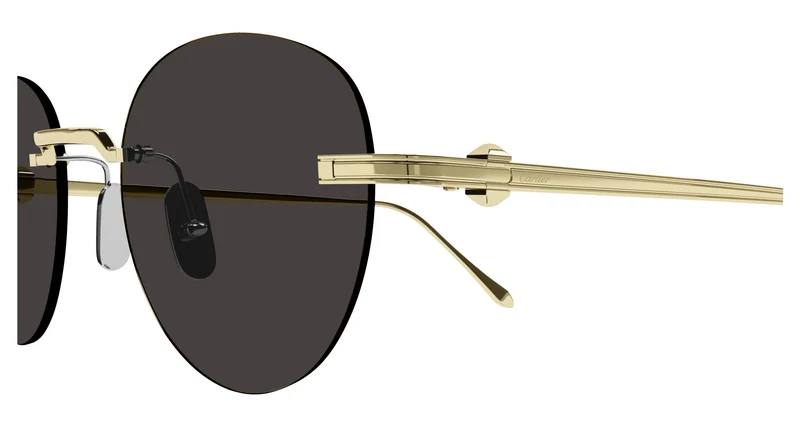 Cartier CT0331S 002 51