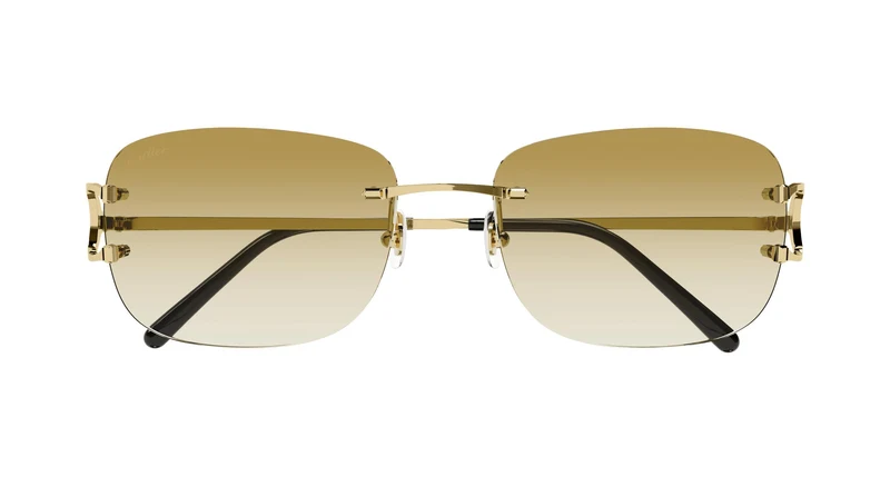 Cartier CT0011RS 002 58