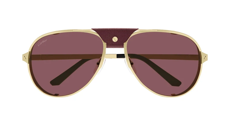 Cartier CT0296S 006 61