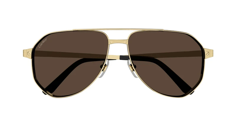 Cartier CT0461S 004 60
