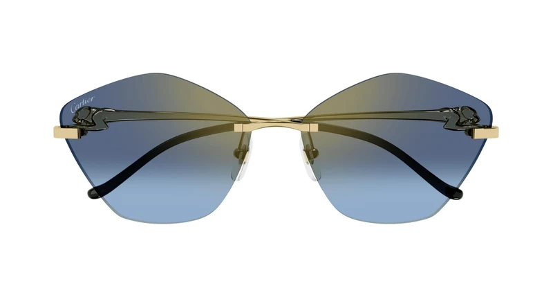 Cartier CT0429S 004 61