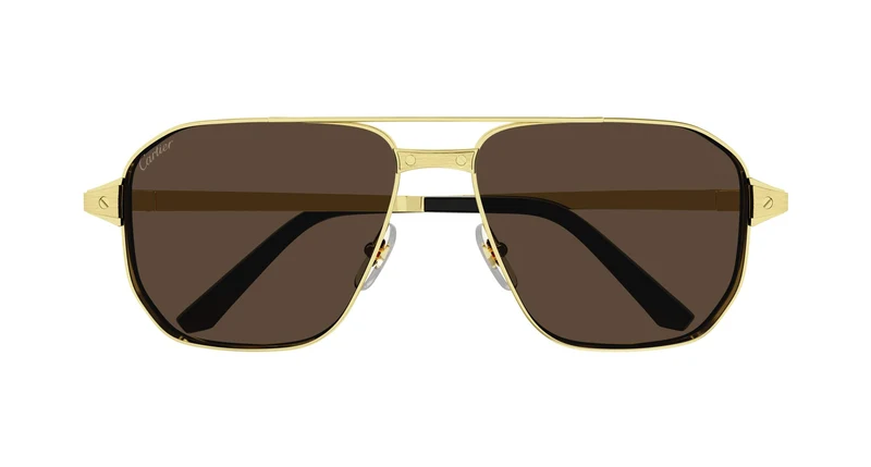 Cartier CT0424S 003 59