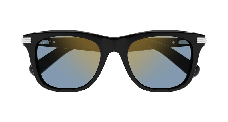 Cartier CT0396S 004 53