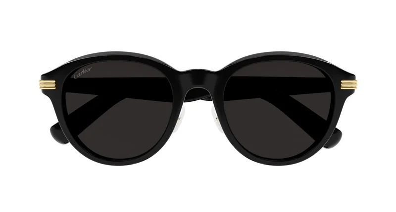 Cartier CT0395SA 001 53