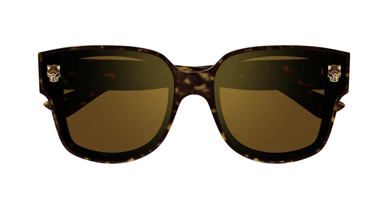 Cartier CT0357S 002 63