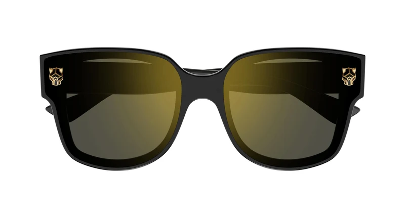 Cartier CT0357S 001 63
