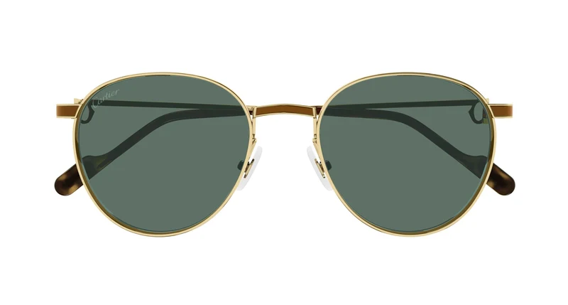 Cartier CT0335S 002 53