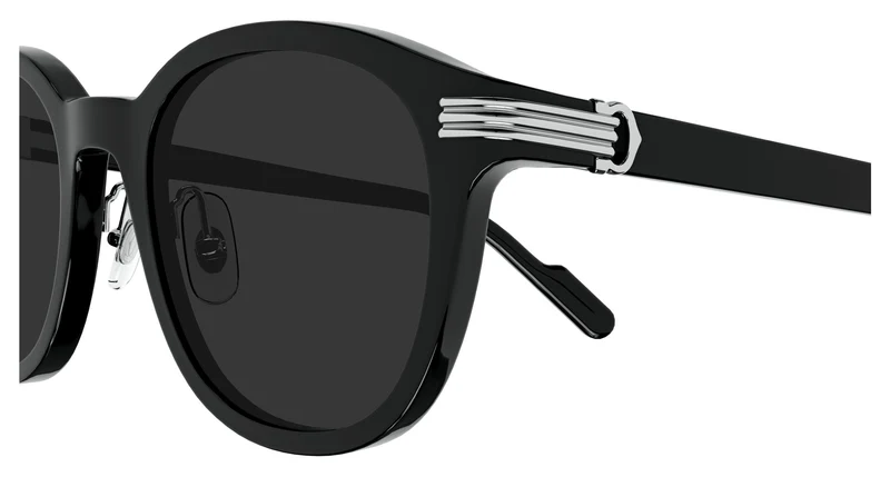 Cartier CT0302S 005 53