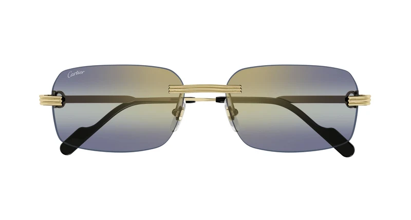 Cartier CT0271S 006 58