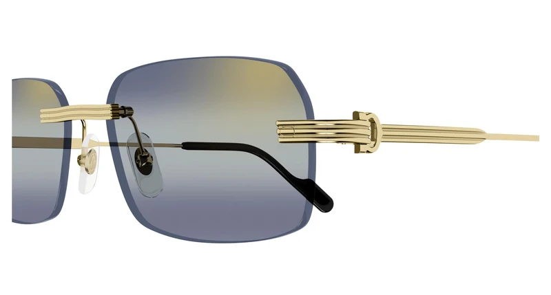 Cartier CT0271S 006 58