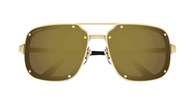 Cartier CT0194S 006 58