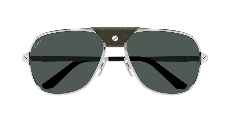 Cartier CT0165S 012 60