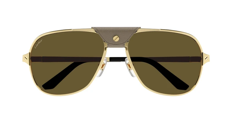 Cartier CT0165S 011 60