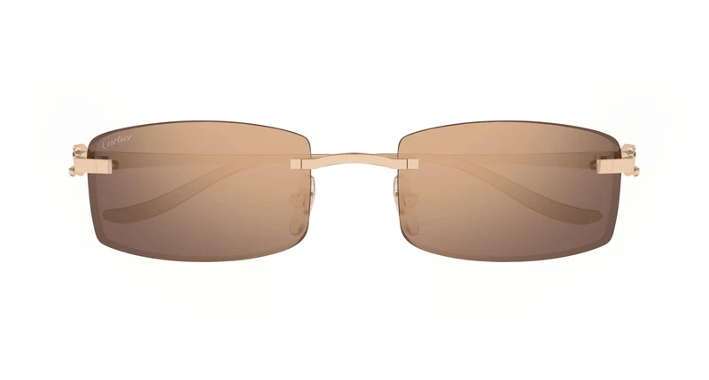 Cartier CT0552S 004 55