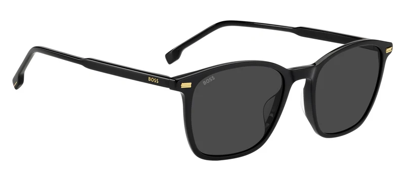 BOSS 1880/G/S 807 IR 53